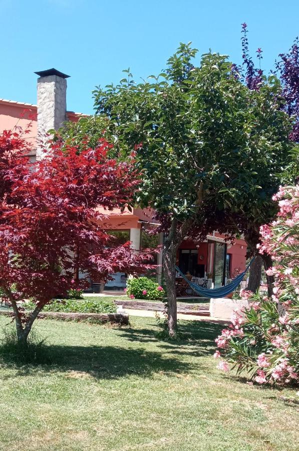 Leiradaporta Villa Monforte De Lemos Bagian luar foto
